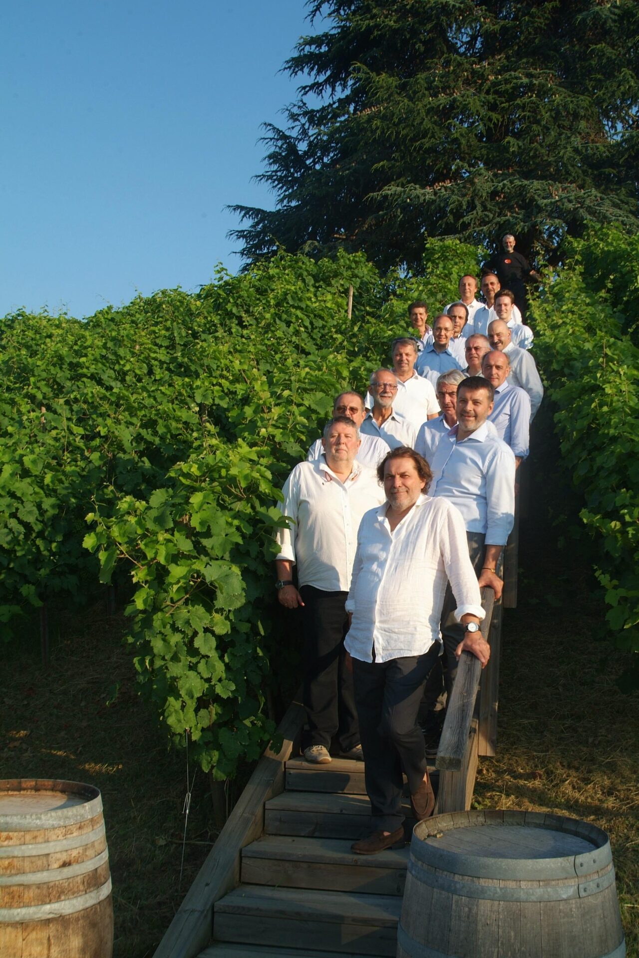 Conviviale alla Cantina Canavel